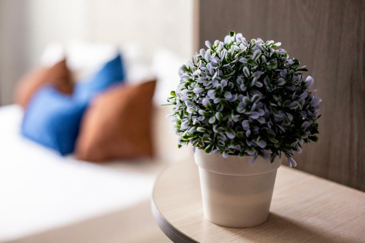 Alfa Apartments Kniazia Romana 11 Львів Екстер'єр фото